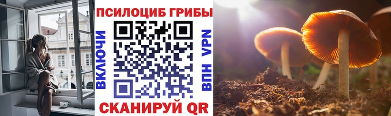 гидра зеркало  Остров  Галлюциногенные грибы Psilocybine cubensis 